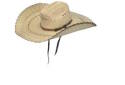 6-1/2-Inch Brim, One Size Fits Most, Sewn Palm, Elastic Stretch Fit, Large Brim Western Hat With Chin Cord